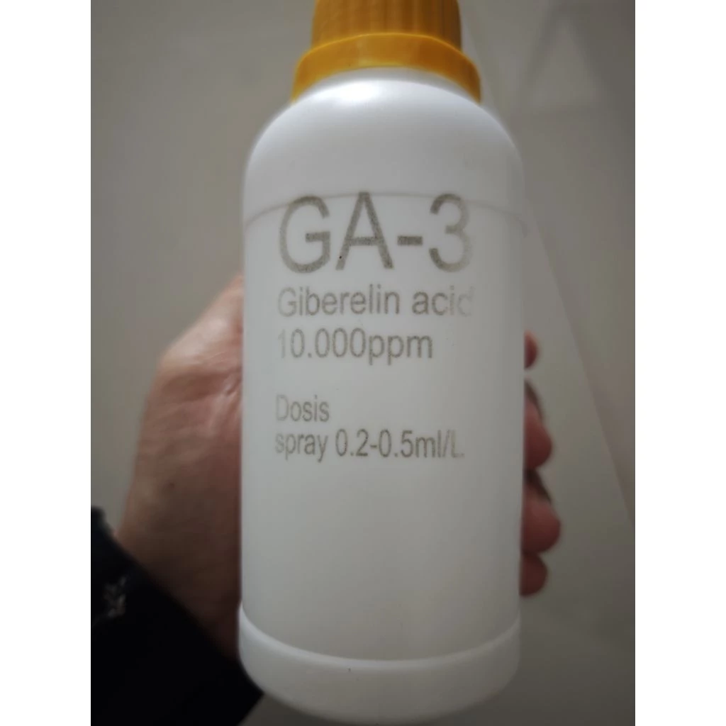 Hormon GA3 10.000ppm
